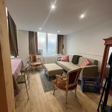 Loft Cosy Centre St Etienne *