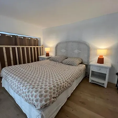 Loft Cosy Centre St Etienne Lejlighed *